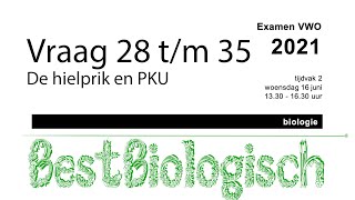 Biologie examen VWO 2021 2e tijdvak vraag 28 tm 35 [upl. by Ramalahs]