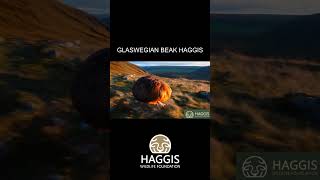 Glaswegian Beak Wild Haggis Animal [upl. by Morril]