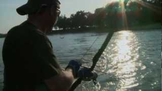 Muzzy Season 5 Bowfishing [upl. by Airyt]