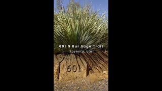 601 N Bur Sage Trail Kayenta Utah [upl. by Ahset161]