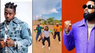 Ray vanny ft Ferre Gola Mobondo Top 10 meilleurs challenge tiktok music world [upl. by Eppilihp]