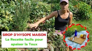 SIROP D’HYSOPE MAISON  Recette facile pour apaiser la Toux [upl. by Nivlag]