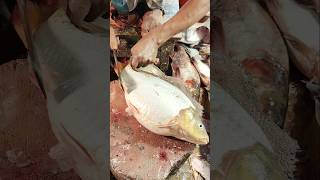 Amazing Delicious Big Carp Fish Skinning amp Chopping Live In Bangladesh  shorts fishing fish [upl. by Isidro311]