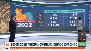 Proyecciones anticipan complejo escenario económico en Chile T13TeExplica [upl. by Dyob862]