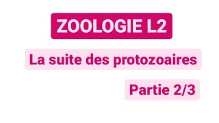 Zoologie L2  Chapitre quotles Sarcomastigophoraquot partie 12 [upl. by Maiocco]