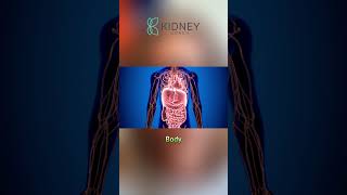 What Is Kidney Cancer  Renal Cell Carcinoma  Kidney Tumor [upl. by Renzo]