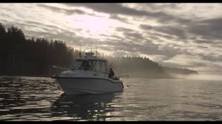 Boston Whaler  Exploring the Pacific Northwest [upl. by Nibbor]