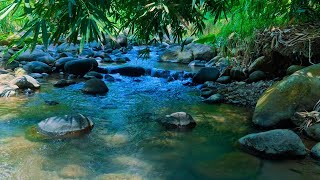 Amazing Beautiful River  Roaring Water Flowing Over Rocks  Quickly Fall Asleep to the River Sound [upl. by Ynaffet910]