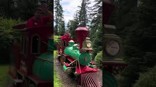 Train going by at Santa’s Village NH santasvillage train newhampshire [upl. by Bettina375]