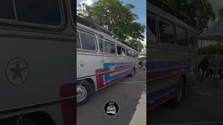 Onibus Home oldcars carrosantigos shortsyoutube onibus mercedesbenz motorhome bushome cars [upl. by Aleek]