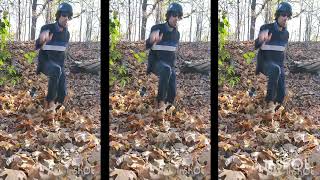 Fall 🍁 Snowskate fall snowskate snowskating skate downhill leaves funny fun skatelife [upl. by Mata]