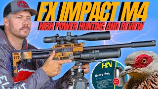 FX IMPACT M4 HUNT AND REVIEW I HIGH POWER AIRGUN HUNTING WITH FX IMPACT M4 I AIRGUN PEST CONTROL [upl. by Ness274]