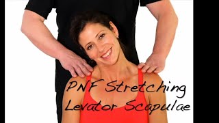 PNF Stretching  Levator Scapulae Muscle  Ask Dr Abelson [upl. by Lienet]