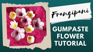 FRANGIPANI GUMPASTE FLOWER Tutorial [upl. by Kahn]