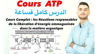 Cours complet les réactions responsables de la libération d’énergie ATP Respiration fermentation [upl. by Eltsirc]