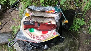 Catch Clean Cook DELICIOUS Brook Trout Tacos by the River [upl. by Draneb]