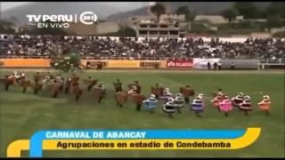 CARNAVAL ABANQUINO 2014 COMPARSA FLOR DE AMANCAES [upl. by Ennylcaj]