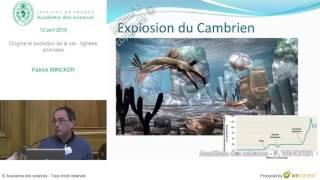 Conférence  Patrick WINCKER  Origine et évolution de la vie  lignées animales [upl. by Adiari860]