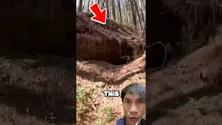 cave spider amazingfacts animals caveexploring interestingfacts [upl. by Edgard]