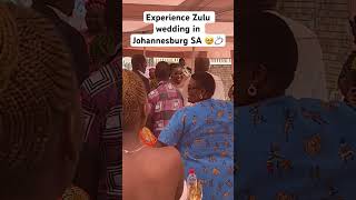 Zulu wedding in South Africa 🇿🇦 [upl. by Bernhard]