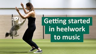 How to get started in Heelwork To Music  Ashleigh Butlers Top Tips [upl. by Asseram]