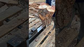 😱 Amazing wood splitting machine Extreme splitting🪓🪵 firewood logsplitter [upl. by Ettenahc486]