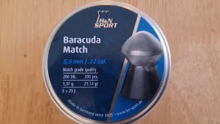 HampN BARACUDA MATCH 22 2114 gr TESTING in Cattleman T2 pcp Are they effective 50 amp 75 yards [upl. by Pressman471]