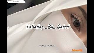 TabalaghBilQaleel  Nasheed SlowedReverb [upl. by Selie]