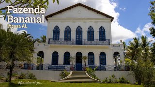 TÚNEL SECRETO achado 100 ANOS depois na FAZENDA HISTÓRICA I FAZENDA BANANAL [upl. by Akinyt]