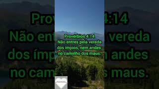 PALAVRA DE DEUS Provérbios 414 [upl. by Ainesell]