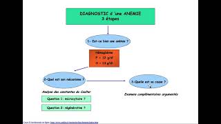 Hemato  01CAT devant une anémie avec révision du chapitre GR DrAbbadi [upl. by Sirron]