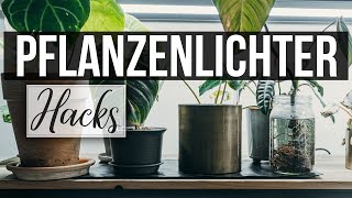 Pflanzenlichter günstig selber bauen  Pflanzen zum wachsen bringen  DIY Growlights [upl. by Evaleen]