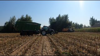 Kukurydza 2024 JD FENDT VALTRA CASE MF KUBOTA w akcji [upl. by Leuams]