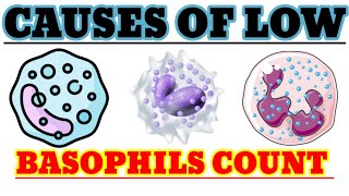 Causes of Low Basophils Count  Basopenia  Low Basophils Count के कारण समझिए हिंदी में  Basophils [upl. by Naihtniroc]