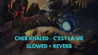 Cheb Khaled  Cest La Vie slowed  reverb cameraman skibidi [upl. by Harley]