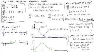 The SIR infectious disease model preliminary analysis [upl. by Sadonia]