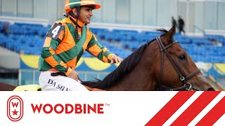 2019 ClassyN Smart Stakes Woodbine September 29 2019  Race 3 [upl. by Janek]