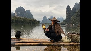 Li River Cormorant Fishing [upl. by Anelas363]