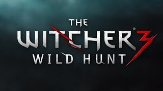 The Witcher 3 Location Wild Spawn Armored Arachas Lev 26Xp farm [upl. by Haland]