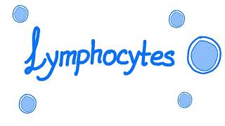 Lymphocytes  Your Specialized Immunity  White Blood Cells [upl. by Alduino]