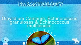 L3dipylidium caninum echinococcus granulosus echinococcus multilocularis parasitology [upl. by Anilatac]