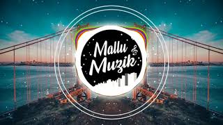 Stereo Hearts x Zaalima Hindi x English Mashup  DJ Sid  Mallu Muzik Official [upl. by Haberman]