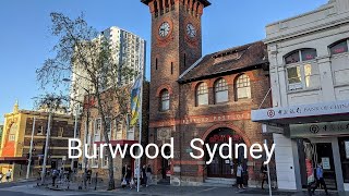 Walking around Burwood Best Food Cheap eats in Sydney [upl. by Mesics]