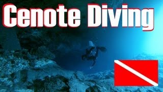 Cenote Diving HD  Riviera Maya  Mexico [upl. by Hake]