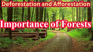 Deforestation and afforestation  Importance of forests  Biology 12th  Chap 27 lec 5 [upl. by Domph]