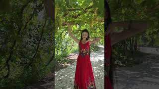 Look at this Xinjiang girl dancing under the grapevines xinjiangdance [upl. by Ahsoet]