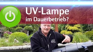 Muss die UVLampe immer laufen Schwebealgen im Teich kontrolliert bekämpfen [upl. by Eagle480]