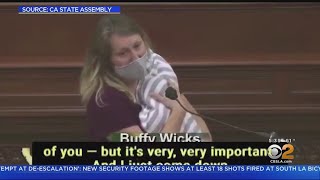 Assemblywoman Buffy Wicks Brings Newborn To Assembly Chamber After Being Denied Remote Voting [upl. by Barvick]