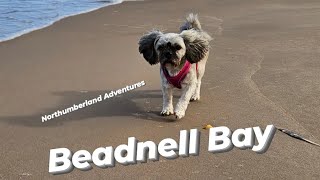 Beadnell Bay Northumberland [upl. by Neemsay]