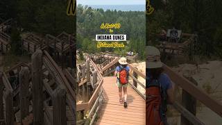 Indiana Dunes National Park  Dune Succession Trail [upl. by Lajes]